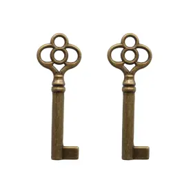 Vidabte Ky-14 Universal Skeleton Key Antique Brass Plated Hollow Bronze