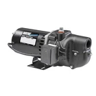 Wayne 1/2 Hp 711 Gph Cast Iron Shallow Jet Well Pump New. Price: $299.06.