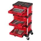 Milwaukee 48-22-9495 Mechanics Hand Tool Master Set W/ Packout Dolly 366PC New. Price: $3999.99.